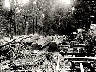 <span class="mw-page-title-main">Brownlee Tramway (Marlborough)</span> Logging railway in New Zealand