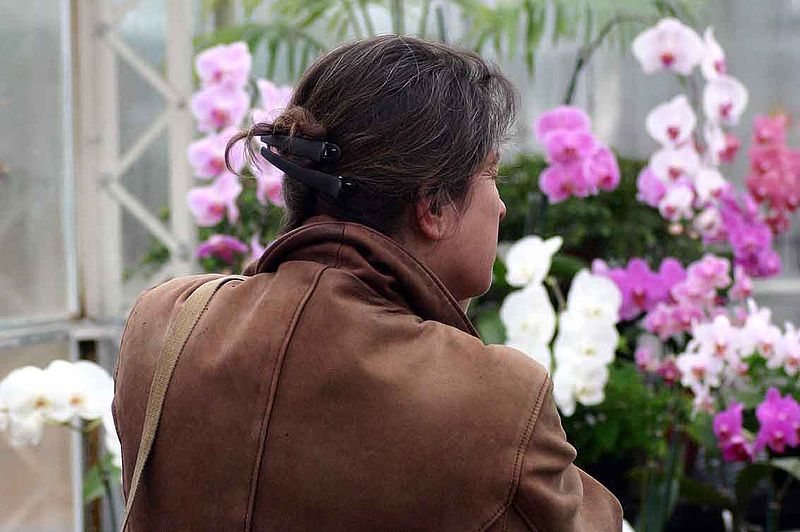 File:Looking At The Flowers.jpg