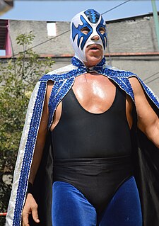 <i>Homenaje a Dos Leyendas</i> Mexican professional wrestling supercard show series