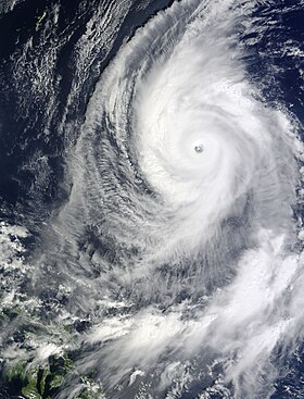 imagem ilustrativa de artigo Tufão Lupit (2009)