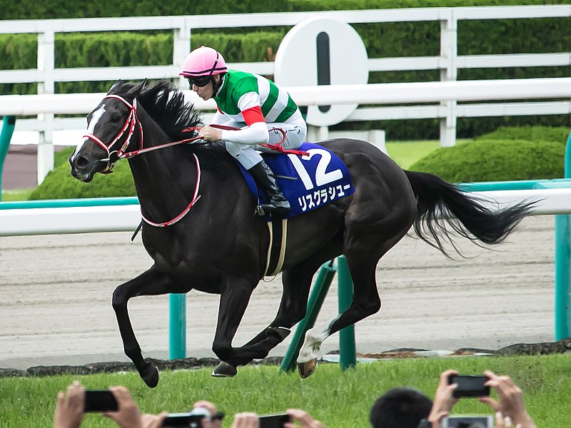 File:Lys gracieux(JPN) IMG 1664-2 20190623.jpg