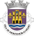 Vlag van Montemor-o-Velho