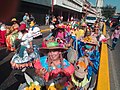 Manifestación de la burra