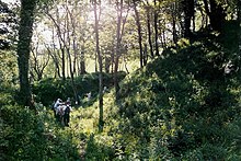 Маннан Castle, Co. Монагон - geograph.org.uk - 609123.jpg