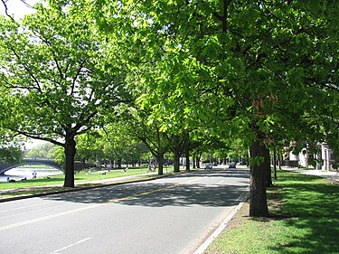 Memorial Drive Memorial Drive, Riverside, Cambridge MA.jpg