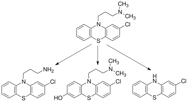 Three common metabolites of chlorpromazine MetabsofChlorpromazine.svg