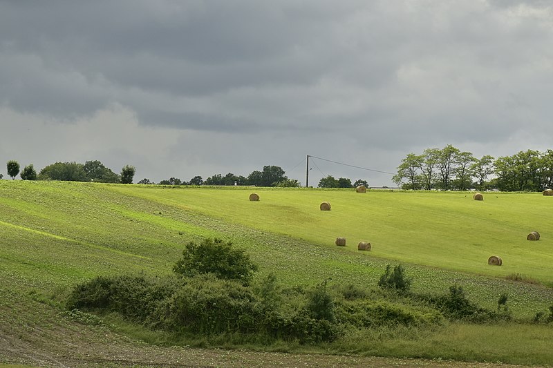 File:Meules de foin sous un ciel plombé (30080758116).jpg