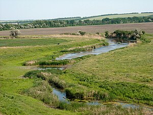 Mokra Sura: Biflod til Dnepr