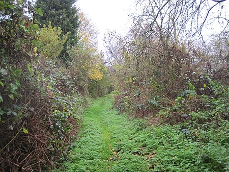 Mill Hill Old Railway