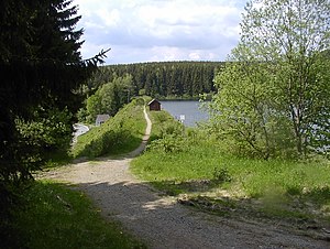 Mittlerer Kellerhalsteich: Damm und Wasserfläche (2008)
