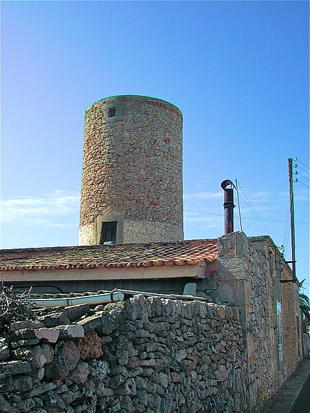 File:Molí de Ses Salines.JPG