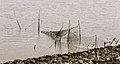 * Nomination Monument afsluitdijk and surroundings. Fish trap in the Wadden Sea. --Agnes Monkelbaan 04:53, 29 July 2019 (UTC) * Promotion  Support Good quality. --Manfred Kuzel 05:13, 29 July 2019 (UTC)