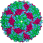 Miniatura para Bacteriófago MS2