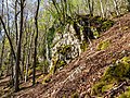 * Nomination Hiking trail Mehlbeerensteig on the Hohlen Berg near Muggendorf --Ermell 07:59, 23 June 2022 (UTC) * Promotion  Support Good quality. --Steindy 11:11, 23 June 2022 (UTC)