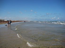 The beach at Mustang Island State Park