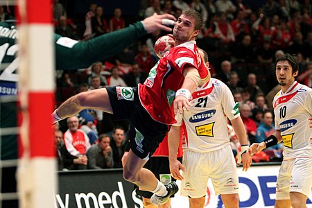 NOR - AUT (03) - 2010 European Men's Handball Championship.jpg