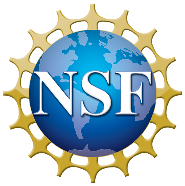 File:NSF logo.png