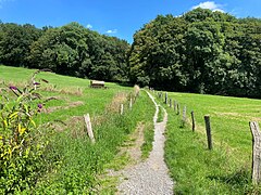 Wanderweg von Papendell Richtung östl. Buchenwald