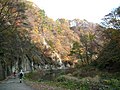 鳴子峡遊歩道から眺めた紅葉（2005年11月）