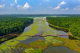 Nababgonj-Nationalpark in Bangladesch