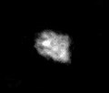 Nereid - Voyager 2.jpg