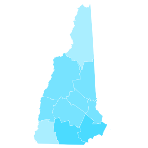New Hampshire County Swing 2020.svg