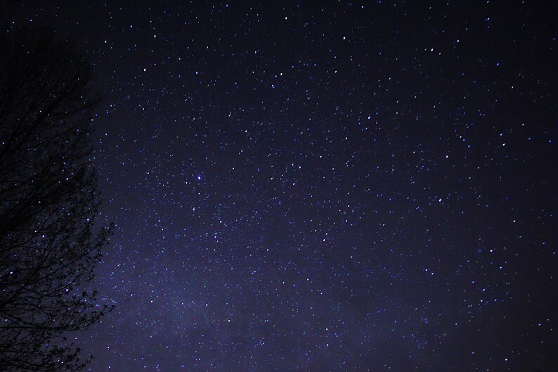 Night Sky Stars Trees 03.jpg