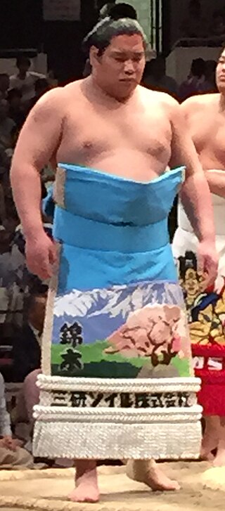 <span class="mw-page-title-main">Nishikigi Tetsuya</span> Japanese sumo wrestler