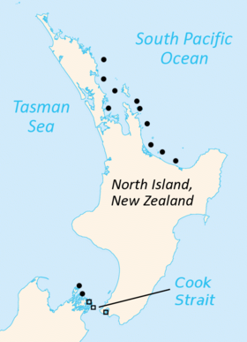 Phạm vi phân bố hiện nay của tuatara (đen):[4][5][6] Hình tròn tượng trưng cho tuatara đảo North, và hình vuông cho tuatara đảo Brothers. Ký tự có thể tượng trưng cho đến 7 hòn đảo.