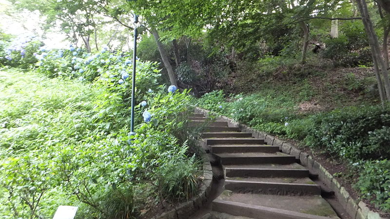 File:Nunobiki Herb Garden in 2014-7-6 No,25.JPG