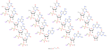 Nusinersen sodium colored.svg