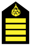 OR-9-8 Volunteer Defense Corps Sergeant Major.png