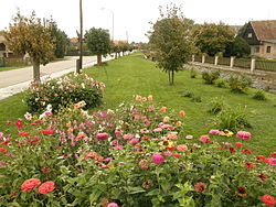 Obec Mokré - květinová náves