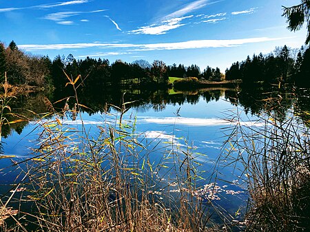 Oberer Weiher (Kienbach)