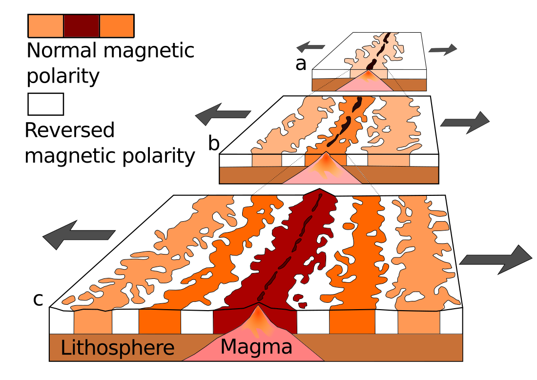 Paleomagnetism