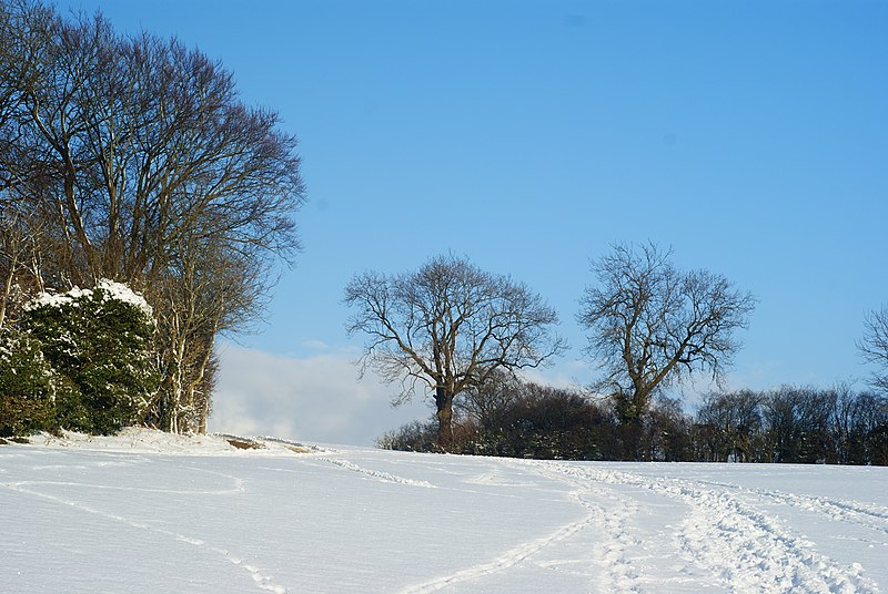 File:Ockley Hill, Chaldon, Surrey - geograph.org.uk - 1656950.jpg