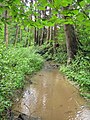 Čeština: Levé rameno Okrouhlického potoka nedaleko vsi Dlouhé Pole. Okres Benešov, Česká republika. English: Left branch of Okrouhlický Stream near Dlouhé Pole village, Benešov District, Czech Republic.