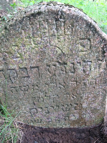 File:Old Jewish cemetery Starobin 02 (18).jpg