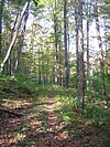 Aĝa Loggers Path.JPG