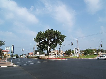 איך מגיעים באמצעות תחבורה ציבורית  לדרך בן צבי 9? - מידע על המקום