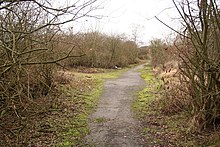 Looking along the former trackbed into the site of the station Old Station Road - geograph.org.uk - 663983.jpg