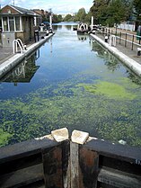 Old ford lock lea navigation.jpg