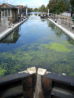 Old ford lock river lea