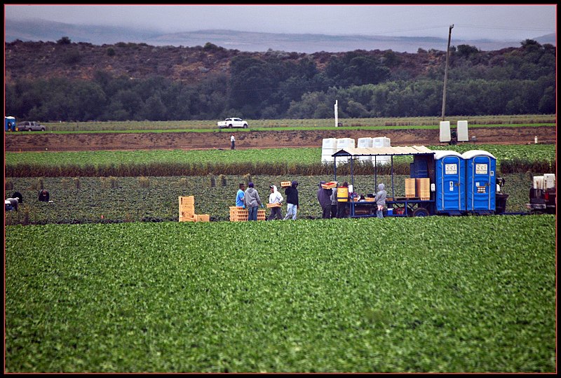 File:One in a series of photos taken from the Northbound Pacific Surfliner train in and around Guadalupe California July 2011 Mostly showing the agricultural activity and local views - panoramio (4).jpg