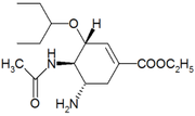 Oseltamivir: (3R,4R,5S)-4-acetylamino-5-amino-3- (1-ethylpropoxy)-1-cyclohexene-1-carboxylic acid ethyl ester