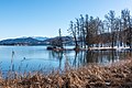 * Nomination Park at the Landscape Protection Area on peninsula promenade, Pörtschach, Carinthia, Austria -- Johann Jaritz 03:03, 7 February 2023 (UTC) * Promotion  Support Good quality. --XRay 03:37, 7 February 2023 (UTC)