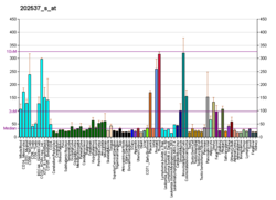 PBB GE CHMP2B 202537 s bei fs.png