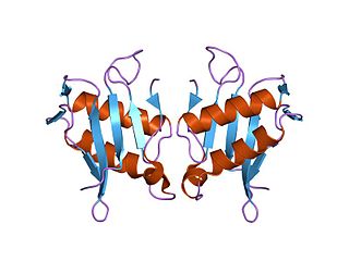 <span class="mw-page-title-main">Killer toxin Kp4 family</span>