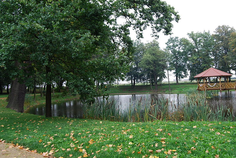 File:PL, Chotów, Park dworski DSC 0014-001.JPG