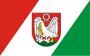Флаг Шубина